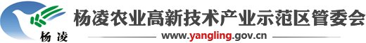 安博在线-安博在线(中国)